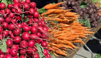 Vitamínová bomba z našich záhrad: Nenápadná zelenina pomáha srdcu aj tráveniu, dokonca je dobrá na chudnutie