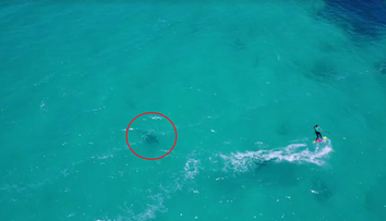 Strach o život na videu: Kráska netušila, čo ju čaká vo vode