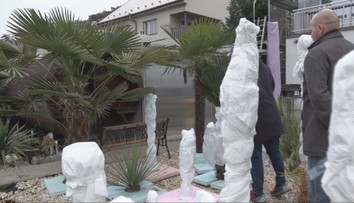 To, čo sa kedysi zdalo nemožné, je realitou. Na Slovensku vyrastajú netradičné rastliny