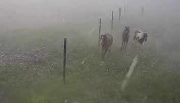 Jazdecká škola v Závadke sa po búrke stala terčom osočovania. Nepoznáte kone, reaguje majiteľka
