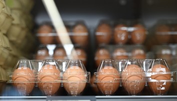 Jeden druh vajec už v mnohých obchodoch nenájdete. Zákazníkom sa nákup predraží