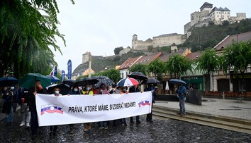 SaS znepokojuje, že KOZ podporuje referendum za predčasné voľby