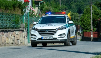 Brutálny útok psa na tri malé dievčatá pri Topoľčanoch. Všetky museli previezť do nemocnice