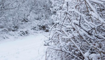 El Niño sa vracia. Ovplyvní počasie na niekoľko mesiacov, meteorológovia prezradili ako
