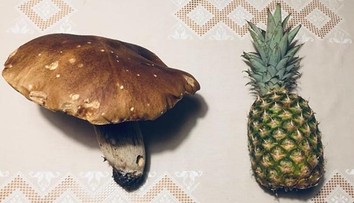 Tak toto je naozaj megaúlovok. Martin našiel prekrásny a obrovský dubák