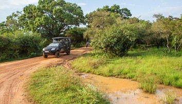 Hrozivá smrť Slováka na Srí Lanke. Život mu vzal rútiaci sa džíp