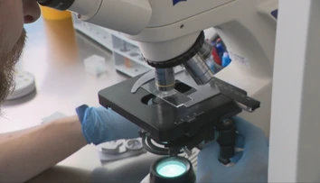 Vedci jasajú. Prelomový experiment dáva nádej tisícom párov