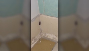 Pacient na urgente v Bratislave nakrútil šváby priamo v čakárni. Reakcia zdravotníka ho šokovala