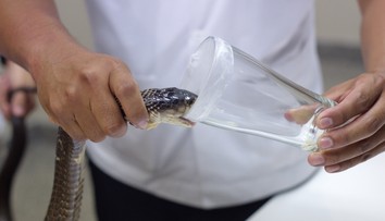 Štúdia vedcov vzbudzuje strach. Ľudia by v budúcnosti mohli produkovať jed