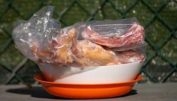 Hygienici varujú pred chybou, ktorú robíme pri rozmrazovaní potravín. V lete môže byť nebezpečná