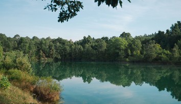 Vedci odhalili najnebezpečnejšie zviera sveta. Väčšina ľudí tipuje úplne zle