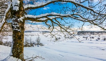 Meteorológovia varujú pred nezvyčajnou zimou. V hre je silný klimatický jav
