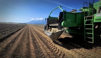 Najlepšia úroda zemiakov za polstoročie poteší Slovákov. Odrazí sa to na cene