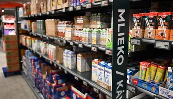 Cena mlieka sa prepadá. Farmári prerábajú, boja sa zatvárania chovov