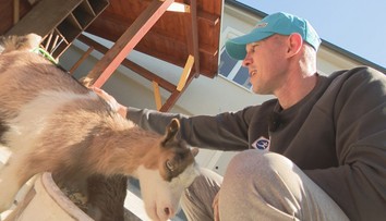 Takto Tomi Kid Kovácsa nepoznáte. Ring vymenil za zvieratá a zbieranie vajíčok