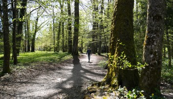 Zamestnanci budú môcť rekreačný poukaz preniesť na rodiča