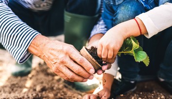 Tieto veci nevyhadzujte, použiť ich môžete v záhradke. Ponúkame desať užitočných rád, vďaka ktorým aj ušetríte