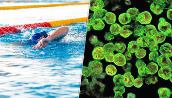 Kúpalisko Vadaš tvrdí, že slzovičkovka v odobratých vzorkách nebola. Hygienici to zatiaľ oficiálne nepotvrdili