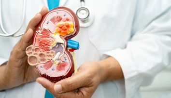 Zvláštny moč, opuchy, ale aj únava. Takto sa môžu hlásiť zlyhávajúce obličky, varujú lekári