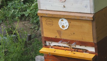 Včelárke na Záhorí ukradli úle. Zlodeja však usvedčilo logo a požičaný prívesný vozík