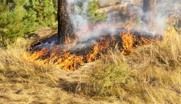 Hasiči varujú pred niečím, čo robia robia mnohí Slováci. Môže sa to skončiť tragicky