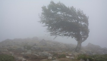 Obrovská zmena počasia: SHMÚ vydáva výstrahy, vietor môže dosahovať rýchlosť víchrice. Hrozia aj búrky