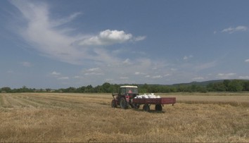 Naši poľnohospodári hlásia rekordnú úrodu. Dočkáme sa nakoniec aj lacnejších rožkov?