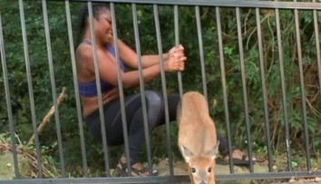 VIDEO: Ranný beh sa zmenil na záchrannú akciu. Po pár metroch prišlo prekvapenie