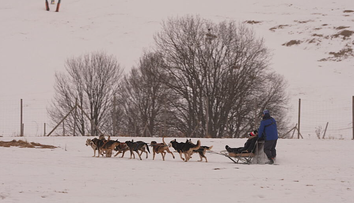 Na zasnežených Donovaloch je čoraz populárnejšia netradičná zimná aktivita