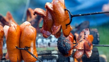 Kliešť mu spustil smrteľnú alergiu. Tínedžer zomrel po obyčajnej večeri