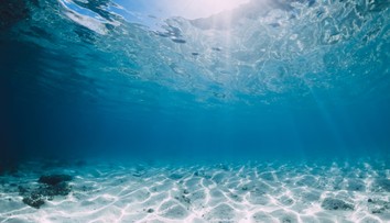 Oceány čelia trojitej hrozbe. Následky môžu ovplyvniť nielen podmorský svet