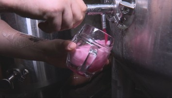 Nealko valcuje klasické pivo. Slovensko patrí v Európe medzi špičku