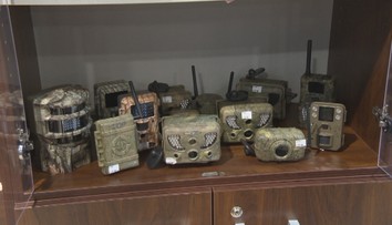 Pôvodne mali fotiť zver, no dnes pomáhajú odhaliť neveru či chytať zlodejov