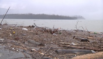 Zo Šíravy je opäť smetisko. Za nelegálne skládky hrozia mastné pokuty