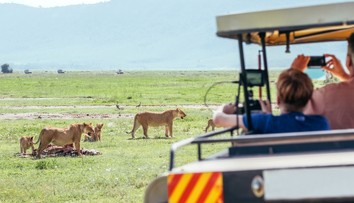 Prežil medzi šelmami: Malý chlapec strávil päť dní v africkom parku plnom levov