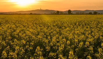 Z chladných dní rovno do tropických. Počasie však nebude bez výkyvov