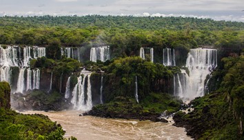 Mali odletieť do Brazílie. Keď sme sa na exotickú pracovnú cestu začali pýtať, envirorezort oznámil, že ju zrušili