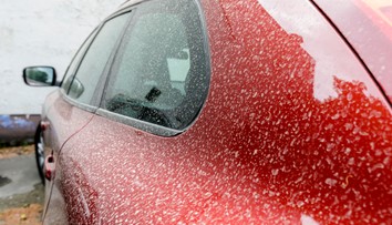 Saharský prach zavalí Slovensko aj Európu. Už pokrýva zvyšky snehu, obloha môže zmeniť farbu