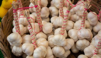 Chcete posilniť svoju imunitu? Týmto výživovým omylom sa vyhnite