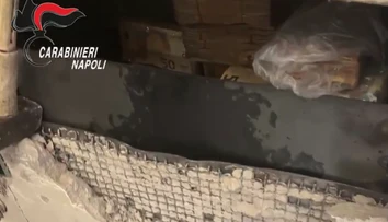 VIDEO: V mafiánskej skrýši objavili hotový poklad. Balíky peňazí vypĺňali podlahu aj steny bytu