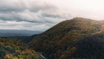 Bulhar zmizol a vyhlásili ho za mŕtveho. Po sedemnástich rokoch ho našli a rovno dostal pokutu