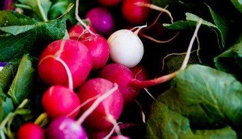 Neviete, čo si môžete zasadiť na jeseň? Poradíme vám, ktorá zelenina je na to ideálna