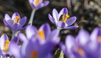 Končí sa meteorologická zima. Na niektorých miestach sú prekonané teplotné rekordy