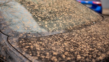 Ako kolóna nákladiakov dlhá 275 km. Na Slovensko dopadlo vlani rekordné množstvo saharského prachu