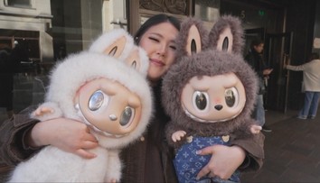 Nový bizarný trend opantal svet. Ľudia sú ochotní sa pre plyšového tvora dokonca aj pobiť