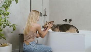 Domáci miláčikovia sa stávajú luxusom. Náklady lámu rekordy a lepšie to nebude, hovorí expert