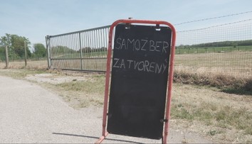 Ľudia stáli v radoch, no prišlo veľké sklamanie. Samozber jahôd sa skončil po jednom dni