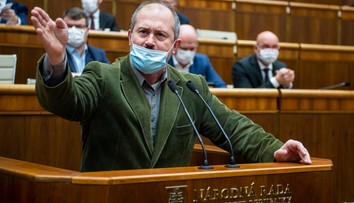 Mazurek a spol. sú k strane lojálni. K aktivitám Kotlebu už nie, tvrdí politologička