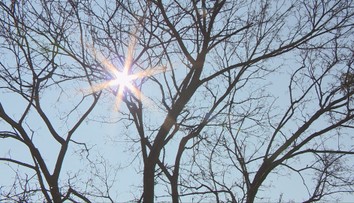 Hoci to tak vonku nevyzerá, oficiálne odštartovala zima. Máme za sebou najkratší deň tohto roka