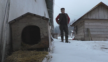 Prázdno za ovčínom aj na duši. Bačovi na strednom Slovensku niekto ukradol šesť psov